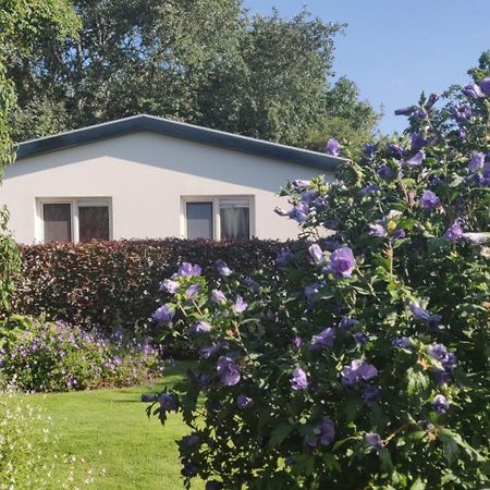 Vakantiebungalow Texel De Cocksdorp  Exterior photo