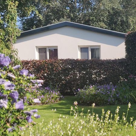 Vakantiebungalow Texel De Cocksdorp  Exterior photo